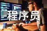 程序员工作自我评价范文