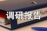 民营企业“走出去”调研报告