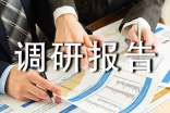 2022社会调研报告