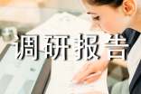 个人调研报告