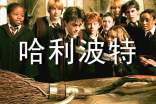 哈利波特读书心得(优秀13篇)