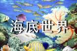《海底世界》教学设计合集(15篇)