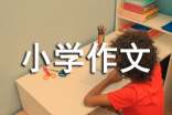 我的六年级小学作文