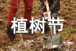 植树节的活动策划书