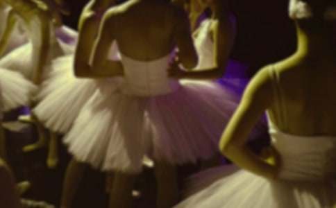 ��СӢ�ۺͰ��ٹ����и�