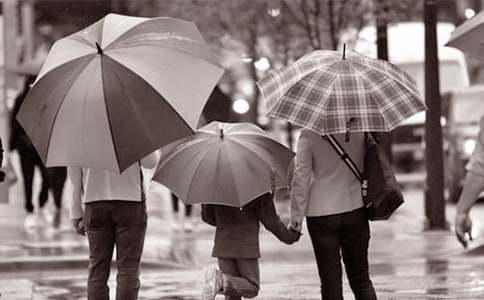 д���ְ�����ĸ�л��