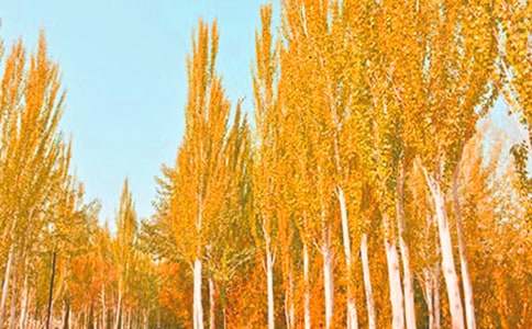 �������ѧ��˼ 