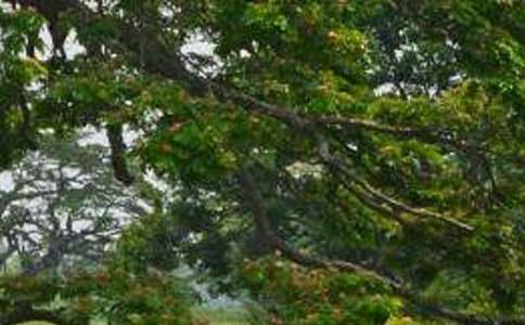 ��ʵ�á�������̰�4ƪ