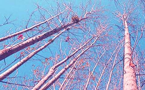 (�Ƽ�)�������ѧ���