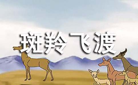 斑羚飞渡读后感【大全15篇】
