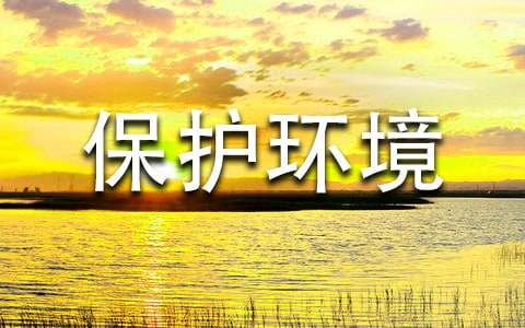 保护环境活动策划