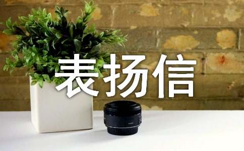 ʵ�õı���ʰ������������ƪ