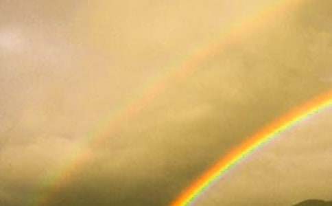 �ʺ�ɫ�Ļ��̰�