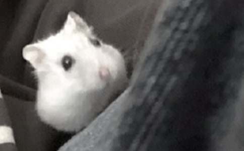 ����۲��ռ�