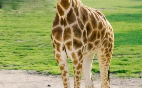 С�������̰����Ҹ�����¹�����½̰�����ѧ��˼