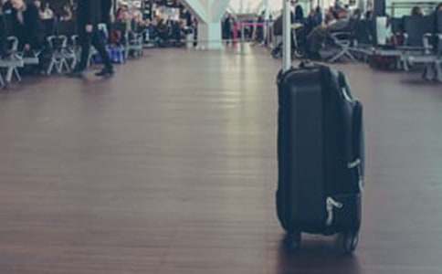 ���������龫ѡ15ƪ