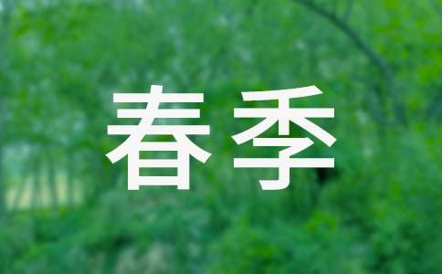 ����С��ѧ�ڽ�ѧ�ƻ�