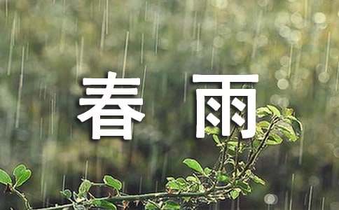 春雨的五年级作文