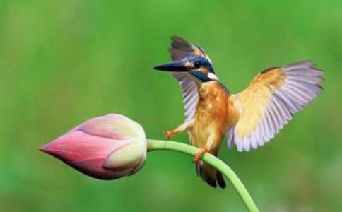 �����񡷽�ѧ��˼ 15ƪ