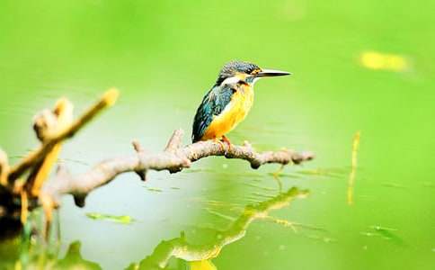 �����񡷽̰�