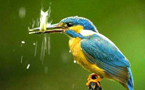 �����ѧ��˼