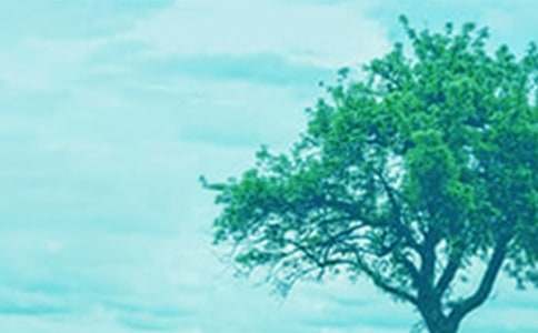 ���꼶��ѧ��ơ�С�ݺʹ�����