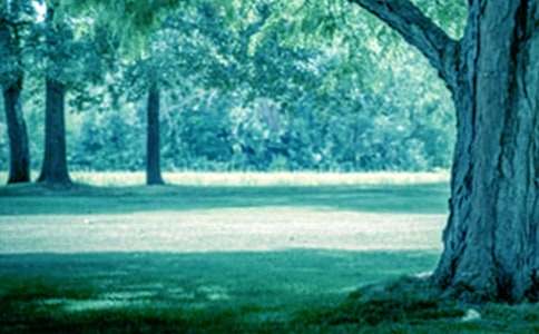 ��С�ݺʹ����������