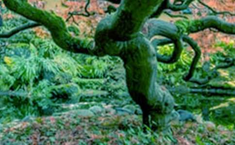 ����Ĵ����̰�