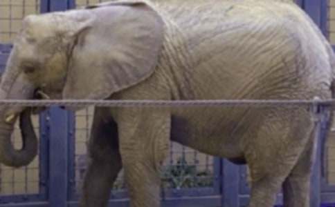 ������Ķ��䡷˵�θ�(����7ƪ)