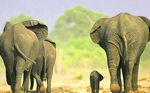 ����Ķ����ѧ���