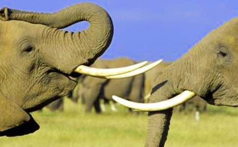 [ʵ��]������Ķ��䡷��ѧ���