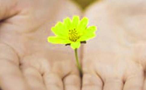 【必备】学生道歉信4篇