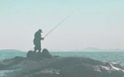 ��ѡ���꼶�������Ľ���5ƪ