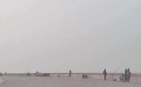 ���Ƽ������꼶����������ƪ