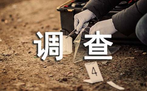 н����鱨��