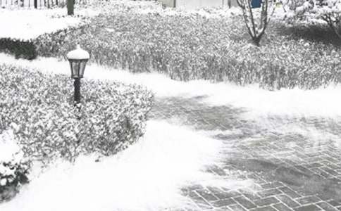 冬季预防传染病主题班会教案