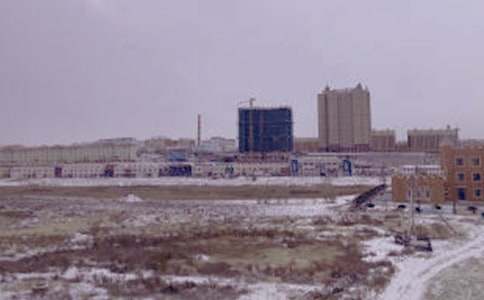 冬日里的最后一只候鸟高一作文