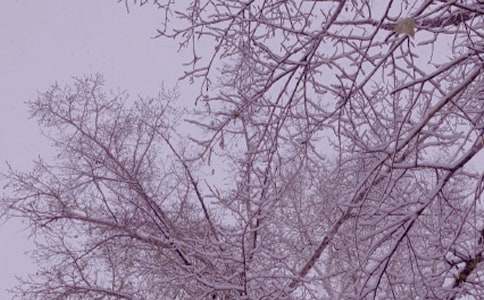 ��ʵ�á������ռ���ƪ