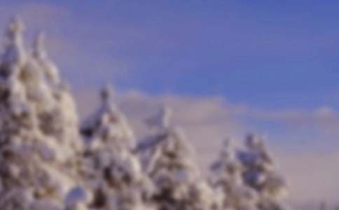 Сѧ���꼶�������Ķ���