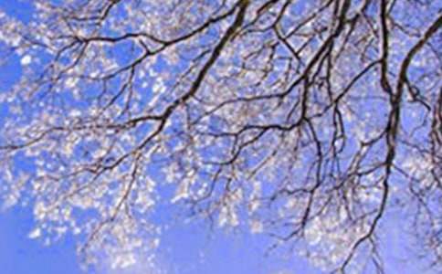 �������꼶����