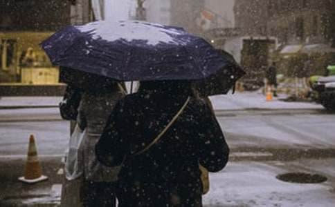 �����������Ķ��꼶