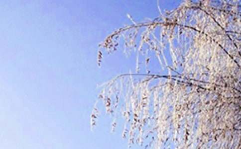 [����]���꼶���������