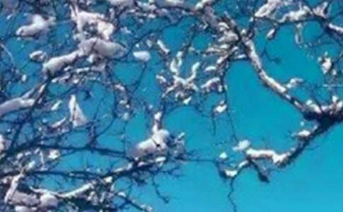 �����Ķ�����꼶���ģ���ѡ28ƪ��