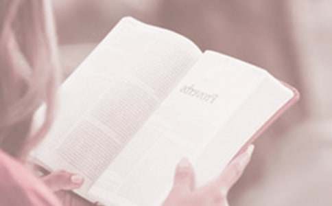 ��������������߻���