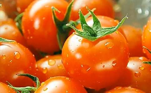 ��ֲ���ѹ۲��¼�ܽ�