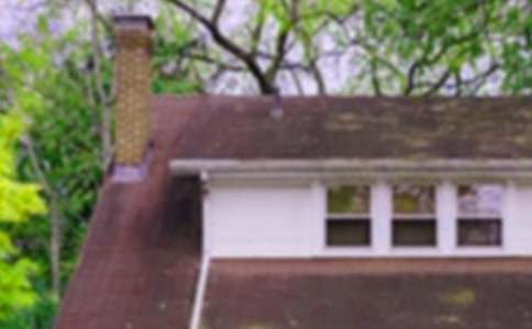 ����������Ư����ѧ��˼