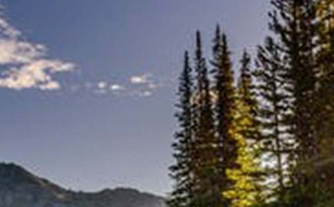 风景的作文初中满分《留在心底的风景》