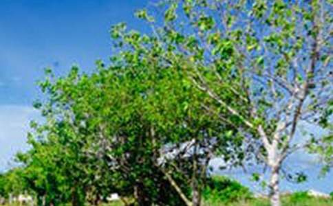 ʵ�õķ羰��������10ƪ