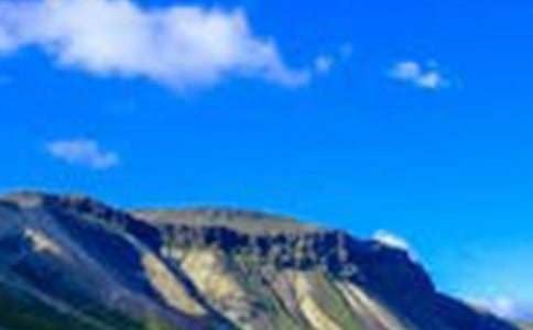 关于风景的周记