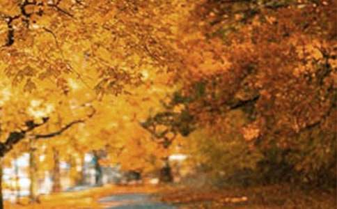 ���ڷ羰�������ļ���10ƪ